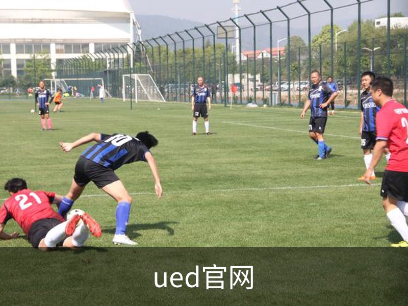 UED·(中国区) - 官网网页版